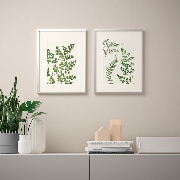 Bild Poster Ferns 30x40 Cm Ikea