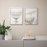 Two floral prints frame a shelf with a plant, vase, and books. Simple frames highlight delicate flowers, adding nature to a minimalist room.