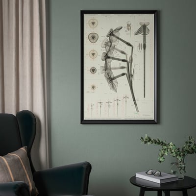 Living room with large framed BILD chair art print on teal wall, surrounded by dark furniture and a green plant.