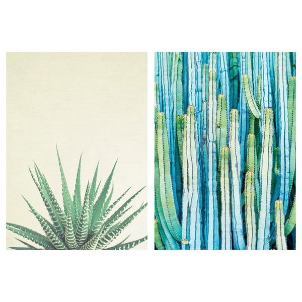BILD poster, Prickly greenery, 50x70 cm IKEA Spain