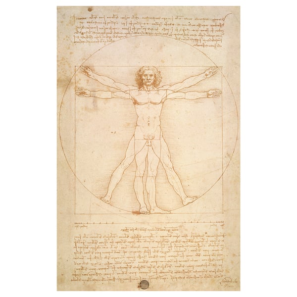 BJÖRKSTA canvas with leonardos vitruvian man sketch.