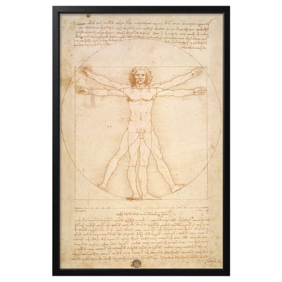 BJÖRKSTA frame: sleek black, holding leonardo da vincis vitruvian man sketch, rectangular shape with detailed human figure design.