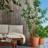 Outdoor patio with large terracotta pots, comfortable cushioned bench. Wood wall and coffee table with glasses.
