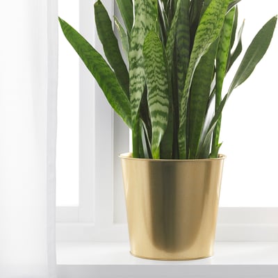 Golden planter with green plant; adds decor, durable, mixes well with others.