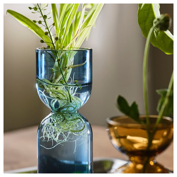 Glass vases holding plant cuttings, two blue and one brown, with water and roots visible.