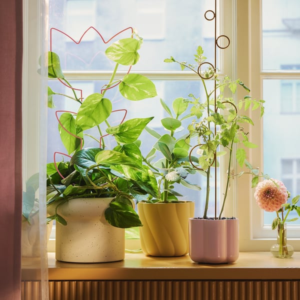 Red steel DOFTRIPS plant supports for indoor/outdoor potted plants, displayed on a windowsill.