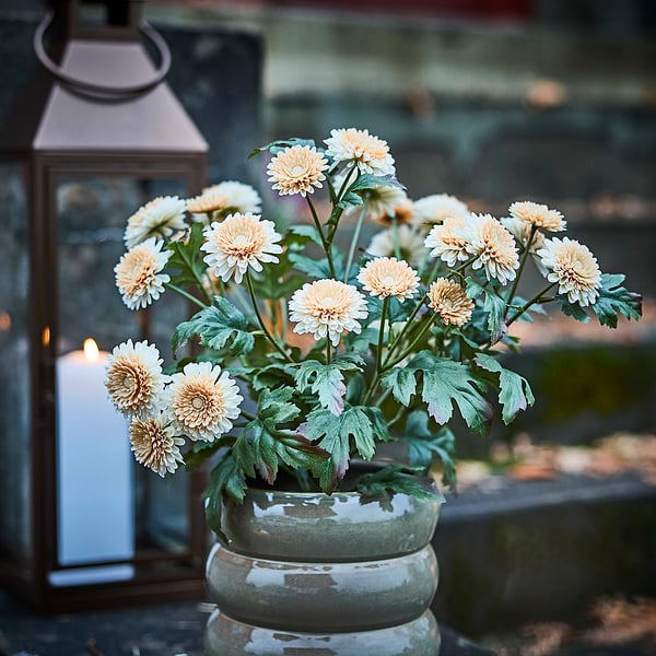 FEJKA Artificial potted plant, in/outdoor/Chrysanthemums light orange, 15 cm