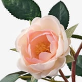 Close-up of lifelike artificial white rose with pale peach center, surrounded by green leaves on stem.
