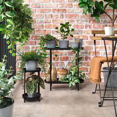 Grey FJÄRILSBUSKE plant pots with varied plants on stands and floor, rustic industrial backdrop.