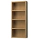 An empty wooden wall cabinet named HAGAÅN. It has four open shelves in a light brown color, perfect for storage and display.