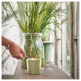 A person lights a green HEDERSAM scented candle beside a glass jar with greenery. The candle is in a ceramic cup with a textured green finish.