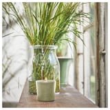 Green scented candle on wooden shelf near glass vase with greenery.