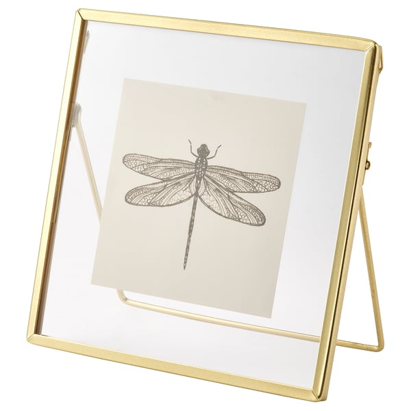 Gold-framed square photo display with a dragonfly image on white paper. Leans against a wall or stands on a surface.