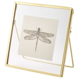 Gold-framed square photo display with a dragonfly image on white paper. Leans against a wall or stands on a surface.