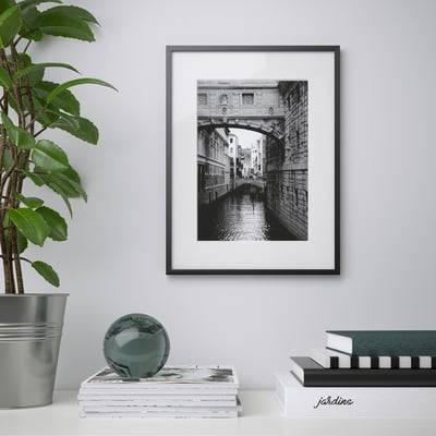 A black and white framed canal bridge in a minimalist setting with a green plant and decor.
