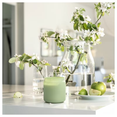 A kitchen counter with green apples, a glass vase of apple blossoms, and a mint-colored LÖVSKOGSLUND candle in a glass jar with a beechwood lid.