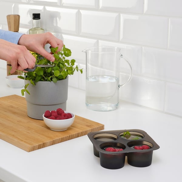 Person adds raspberries, mint to ice tray. Cutting board with fruit, herbs, water nearby.