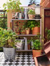 Garden with potted plants on checkered floor, metal shelves with tools and lanterns. Character count: 50
