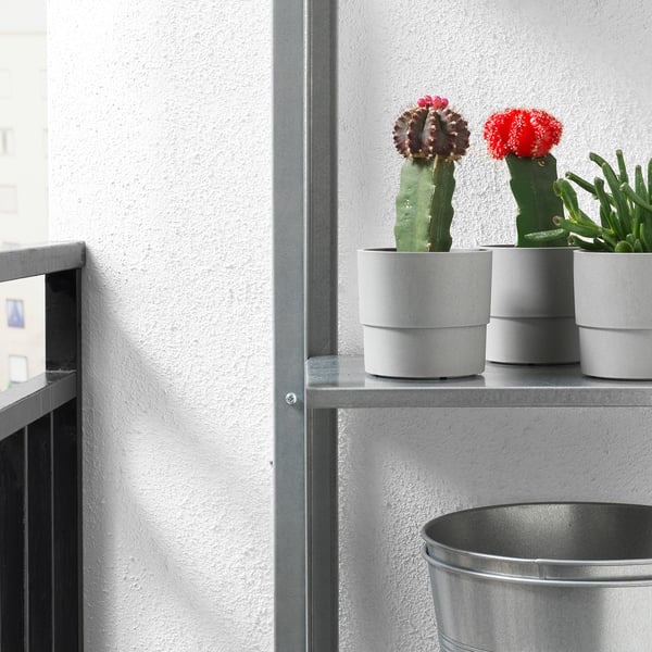 Three potted cacti on metal shelves. Lightweight pots, easy to move.