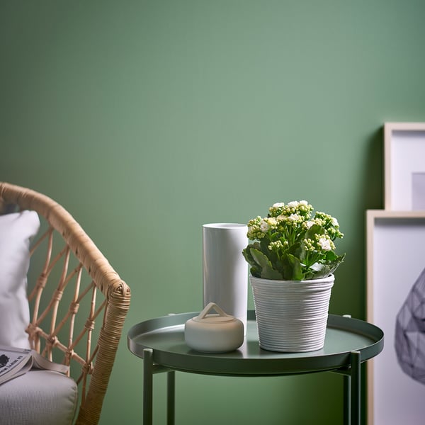 A round side table with a potted plant, a white vase, and a small ceramic jar. The wall is green.
