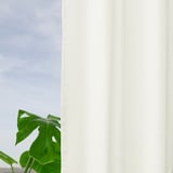 A window with white curtains hangs, with a green leafy plant visible at the bottom left corner. The curtains filter light and provide privacy.