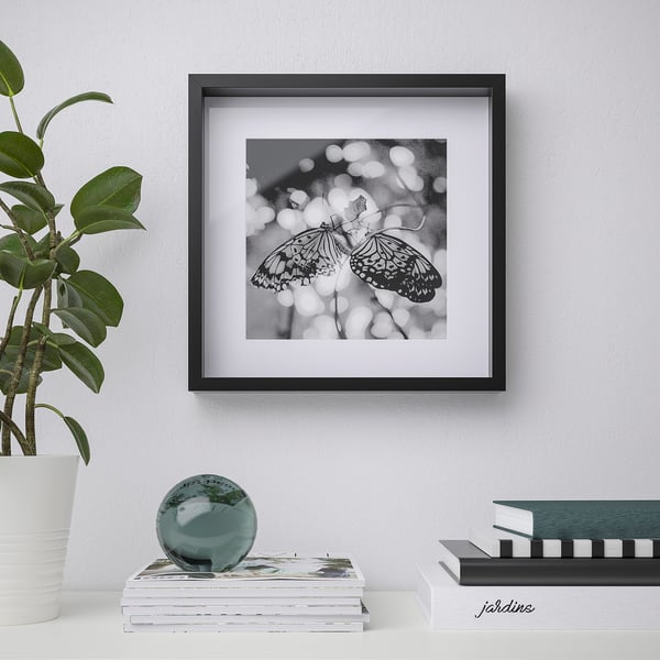 Black and white framed butterflies hangs on wall. Plant and books on white shelf below.