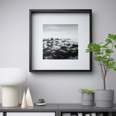 Modern frame with b/w coastal photo, lamp, plants, and protection.