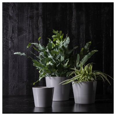 Three grey stoneware plant pots with green plants. Two larger, one smaller. Clean, simple design.