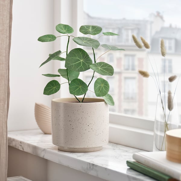 SMÅTÄRNA Artificial potted plant, paper/Stephania, 12 cm