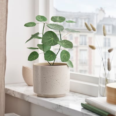 SMÅTÄRNA Artificial potted plant, paper/Stephania, 12 cm