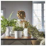 White plant pots by SOJABÖNA, sleek & durable, great for any rooms greenery.
