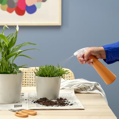 Person misting potted plant with orange spray bottle.