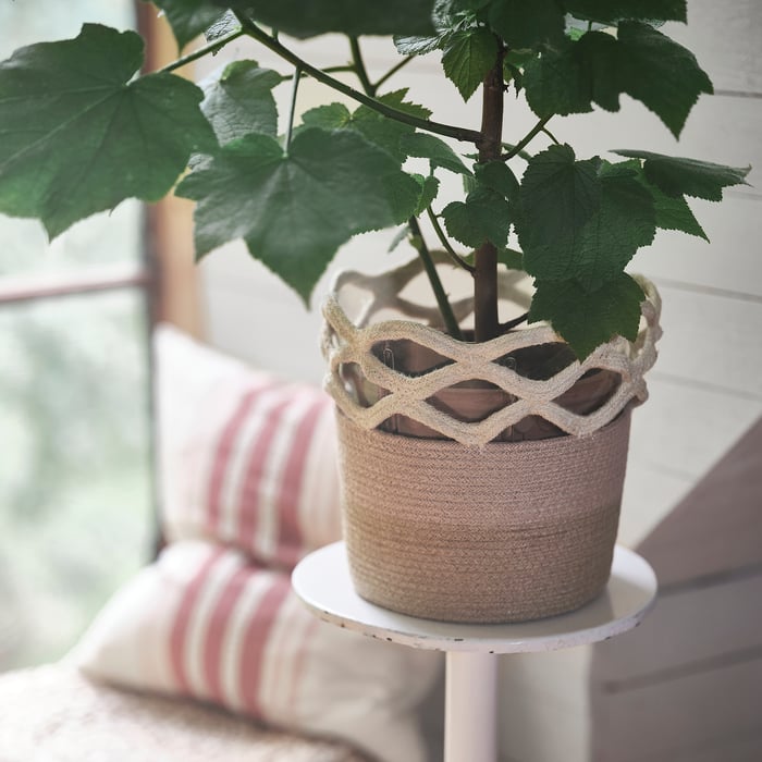 Indoor plant pots IKEA