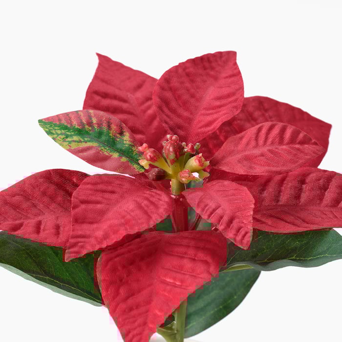 VINTERFINT Artificial potted plant in/outdoor Poinsettia/red IKEA Spain