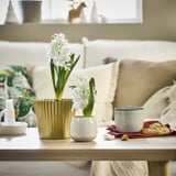 White flowers in VINTERFINT planter on table, with small vase and mug, beige couch.