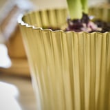 Gold fluted planter with plant