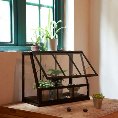 Pequeño invernadero interior muestra las plantas cerca de una ventana, con un frente inclinable para facilitar el acceso.