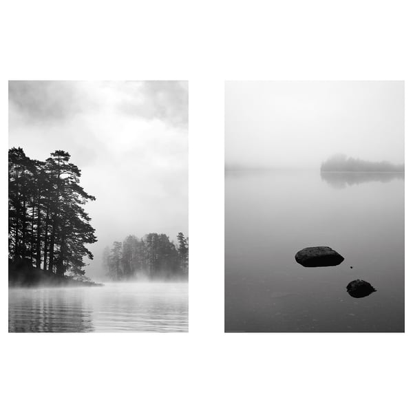 Escenas de la naturaleza: árboles borrosos junto al agua, rocas en la niebla.