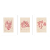 IKEA BILD Lámina alga marina 30x40 cm