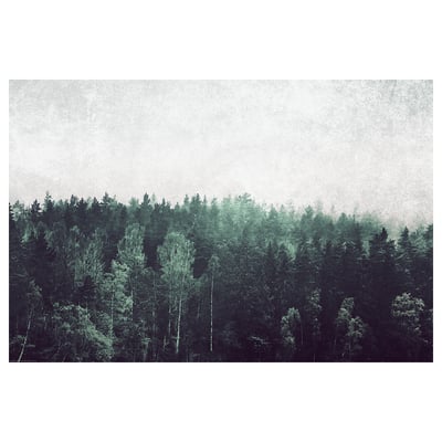 Es un póster de bosque de tonos verdosos, que muestra un bosque denso con árboles altos que se elevan hacia un cielo nublado.