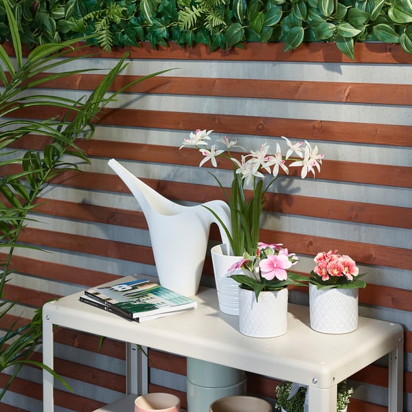 Flores rosadas en macetas blancas sobre mesa junto a la pared de madera, con revista, regadera y objetos pequeños.