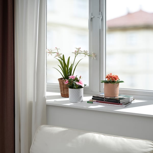 Repisa de la ventana con plantas verdes en macetas y flores rosadas; Libros blancos, cortinas y silla.