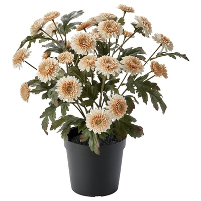 FEJKA Planta artificial, interior/exterior/Crisantemo naranja claro, 15 cm