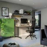 Moderna oficina en casa con armario verde, elegante escritorio, silla ergonómica negra, ordenador, estanterías con libros, plantas y un sofá gris.