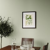 Arte botánico enmarcado, exhibido horizontalmente sobre la mesa con jarra y tazas, también mostrado verticalmente.