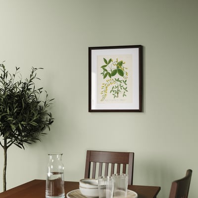 Arte botánico enmarcado, exhibido horizontalmente sobre la mesa con jarra y tazas, también mostrado verticalmente.