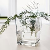 Jarrón cuadrado transparente con hojas verdes parecidas a helechos, que las mantienen erguidas en el agua. Decoración sencilla y moderna.