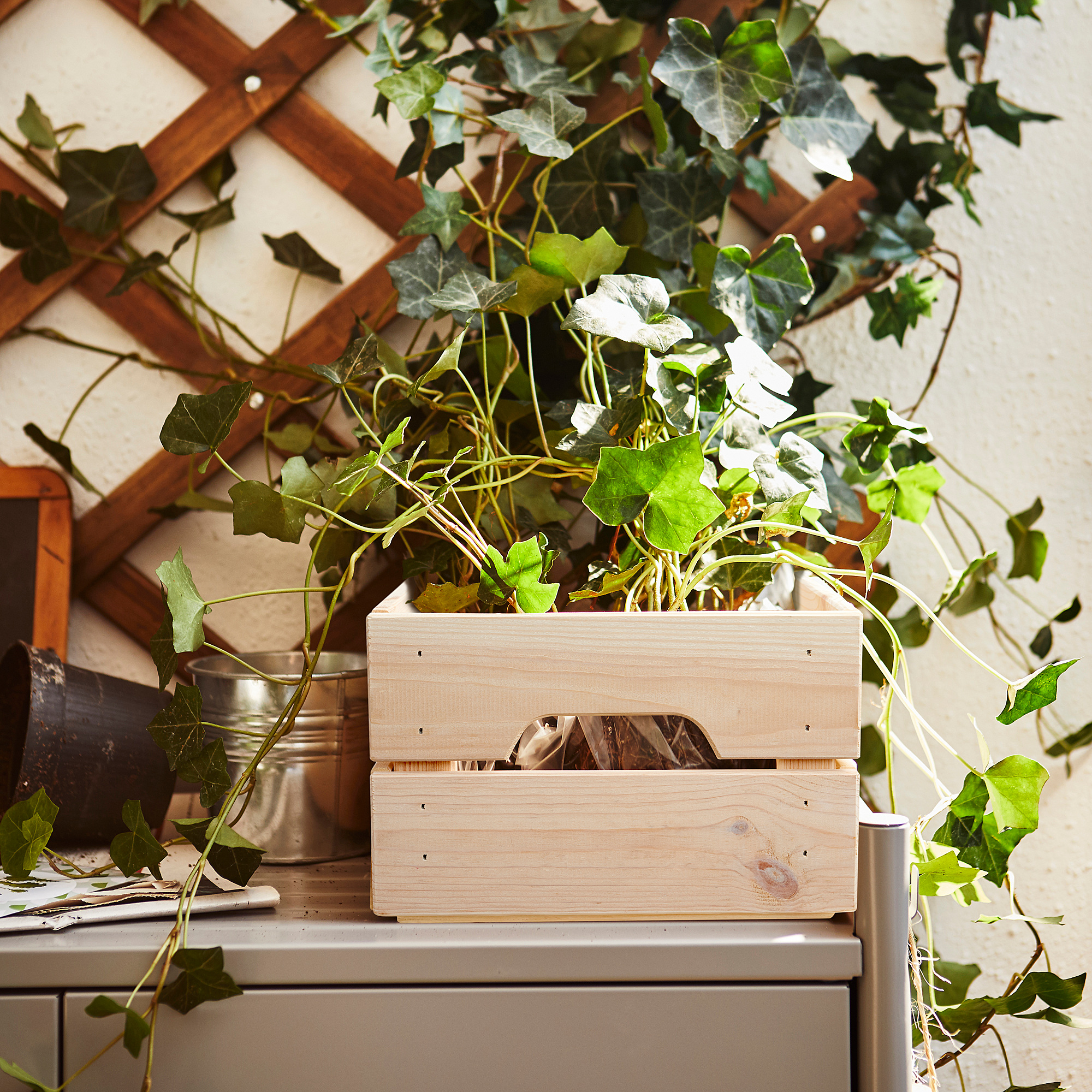 KNAGGLIG Cajón, blanco tinte, 23x31x15 cm IKEA