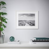 Foto de paisaje enmarcada en blanco y negro en la pared. Abajo, el estante contiene revistas, libros, esferas decorativas y plantas en macetas.