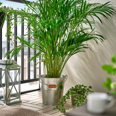 KORKGRAN Cubo/maceta, interior/exterior/galvanizado, 10 l